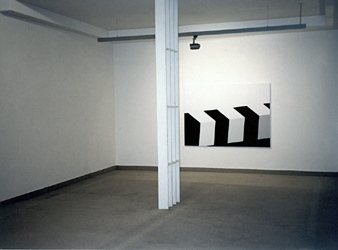 Janne Laurila, Untitled, 2000, acrylic on canvas, 144 x 200 cm, installation view Portfolio Kunst AG